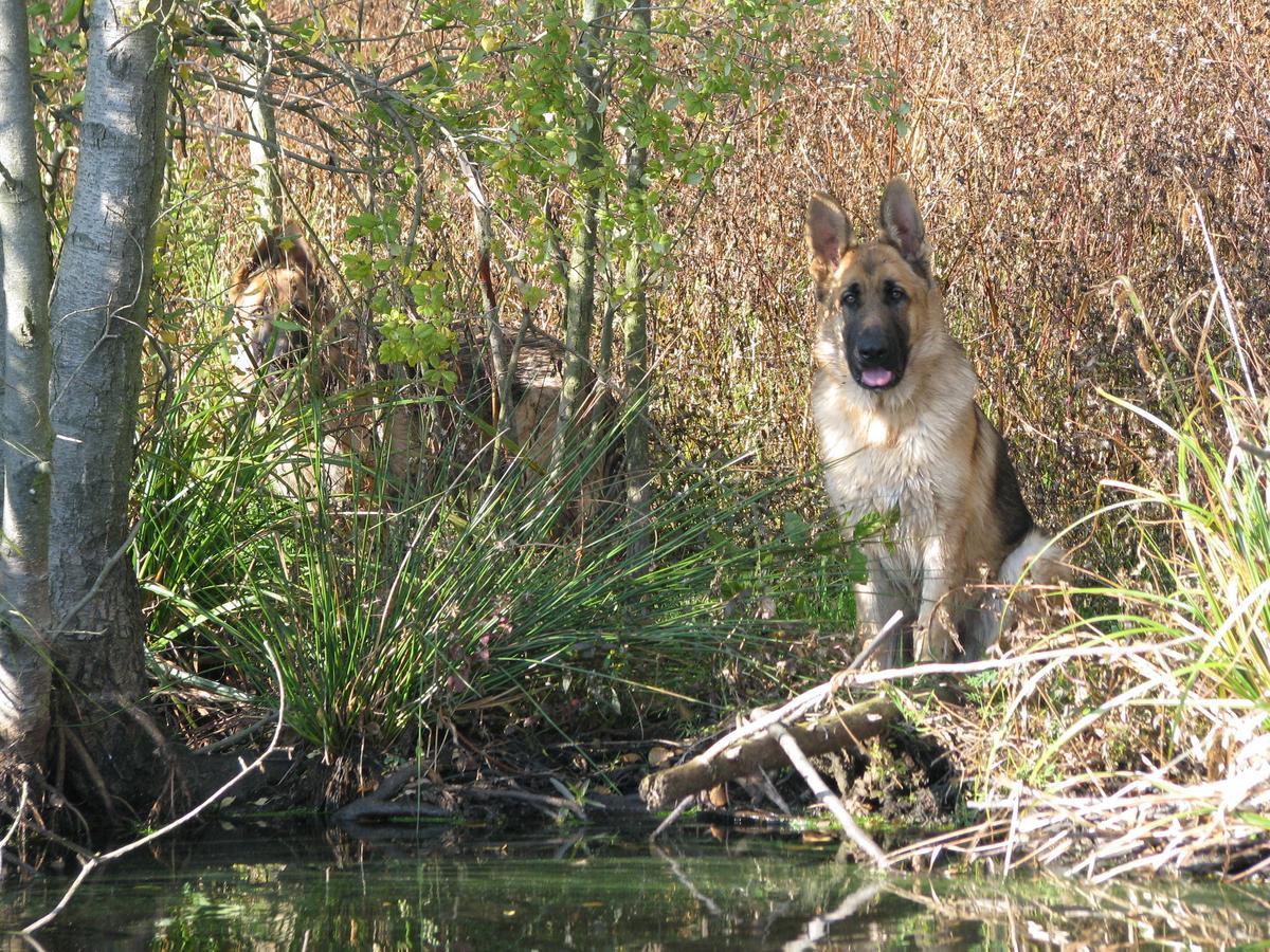 Rezydencja Nad Jeziorem Pestkownica Exteriér fotografie