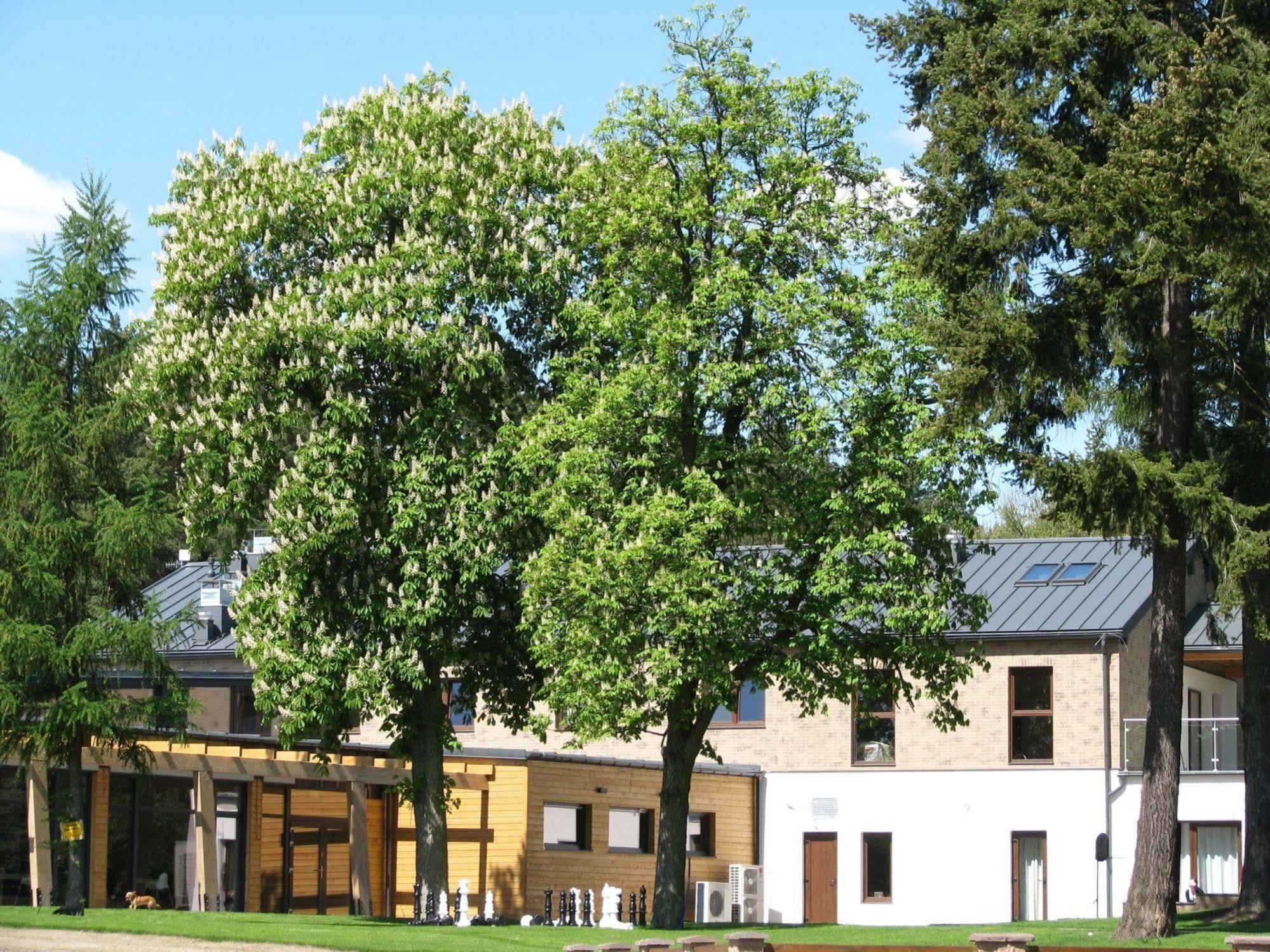 Rezydencja Nad Jeziorem Pestkownica Exteriér fotografie