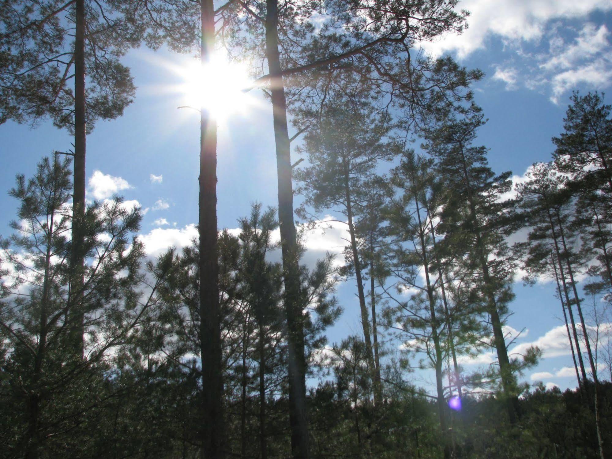 Rezydencja Nad Jeziorem Pestkownica Exteriér fotografie