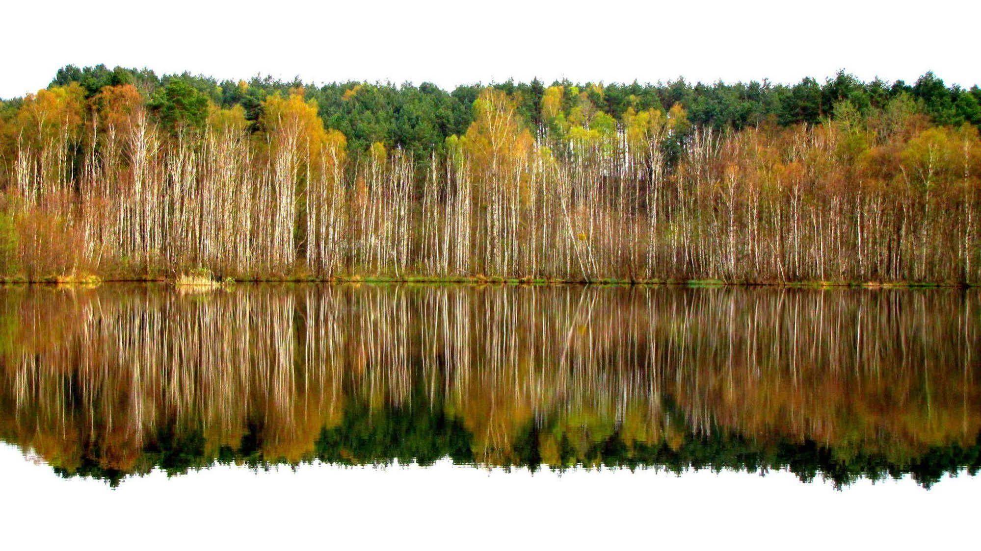 Rezydencja Nad Jeziorem Pestkownica Exteriér fotografie